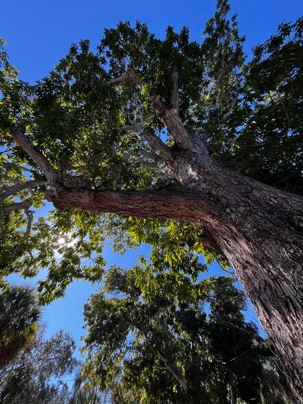 More Photos Of 2019 Manatee Ave, Bradenton Medical For Lease