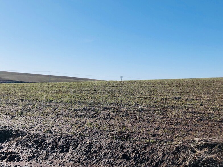 More Photos Of 122 Sand Buckler Dr, Pullman Land For Sale