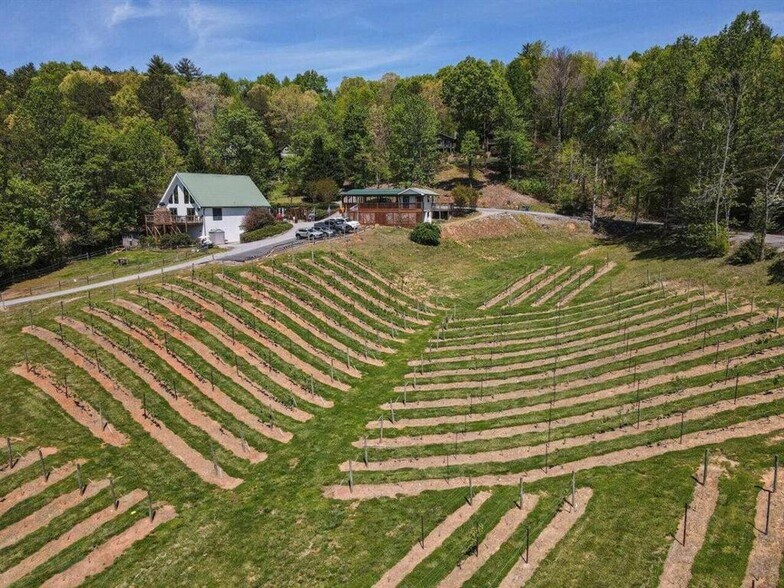 More Photos Of 366 Paradise Rd, Blairsville Winery Vineyard For Sale