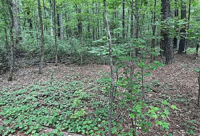More Photos Of Jimmie Mayfield Blvd Fayetteville, GA 30215 United States, Fayetteville Land For Sale