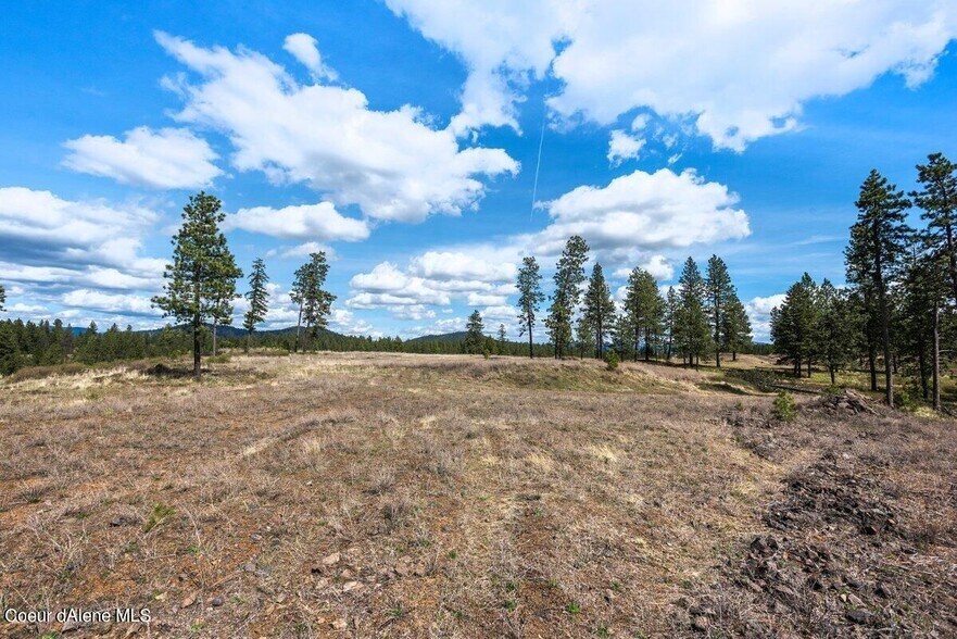 More Photos Of Stonegate at Harrison, Harrison Land For Sale