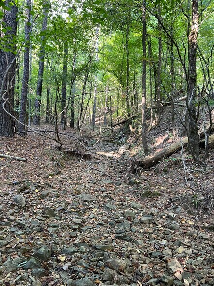 More Photos Of 92 Lillian Strong rd, Carlton Land For Sale