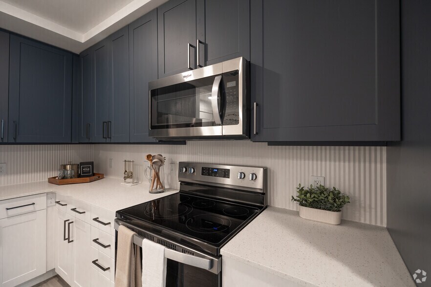 More Photos Of 55 Romney St, Charleston Apartments For Lease