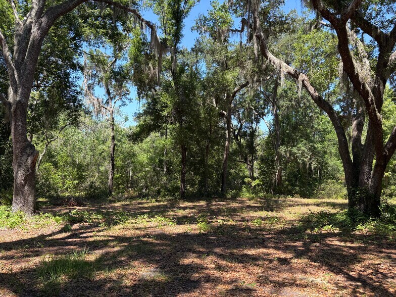 More Photos Of 0 Greenbriar Rd, Lakeland Land For Sale