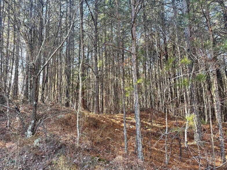 More Photos Of Rockfence Rd, Adairsville Land For Sale