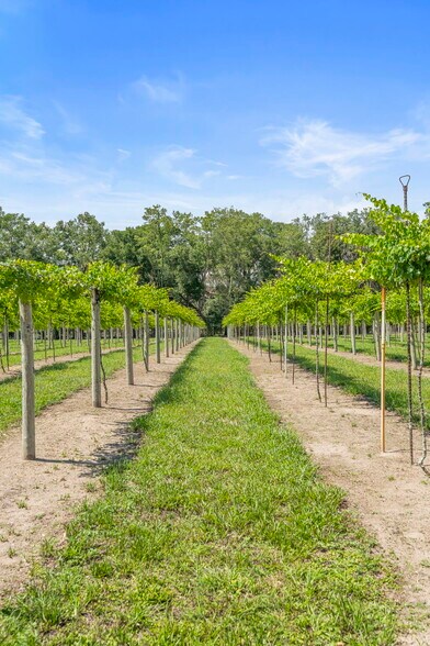 More Photos Of 1056 Reynolds Rd, De Leon Springs Specialty For Sale