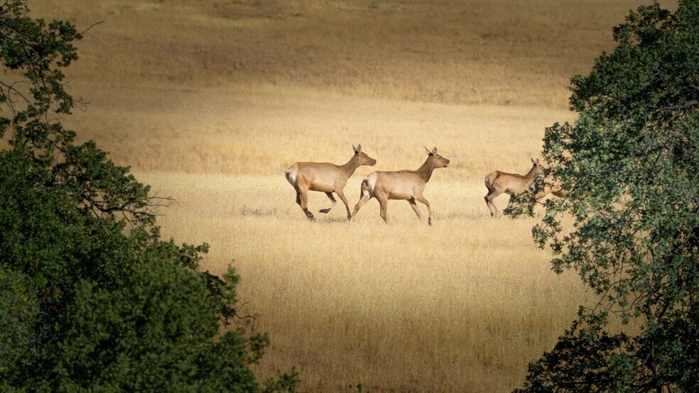 More Photos Of 47069 Crump Ln, Coalinga Land For Sale