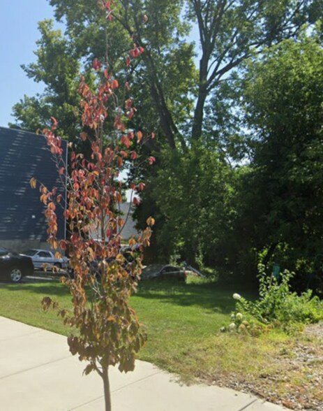 More Photos Of , Albany Land For Sale