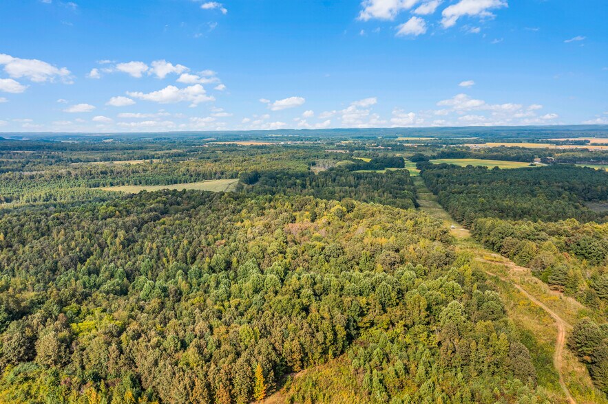 More Photos Of 410 Gladden Rd, Counce Land For Sale