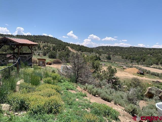 More Photos Of 337 County 4018 rd, Navajo Dam Land For Sale