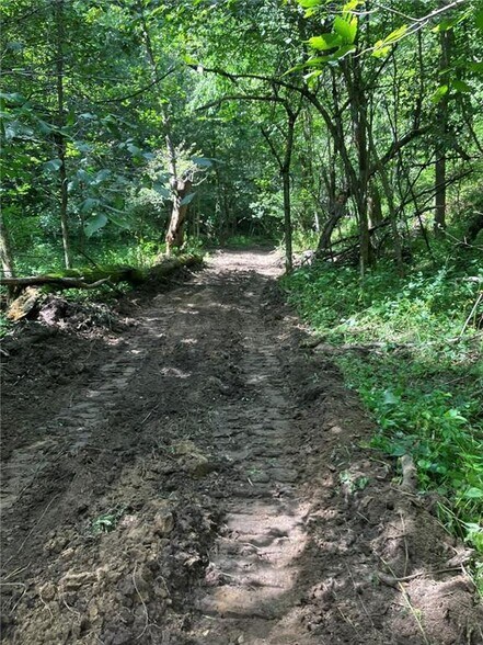 More Photos Of N3953 Bear Pen Rd, Arkansaw Land For Sale