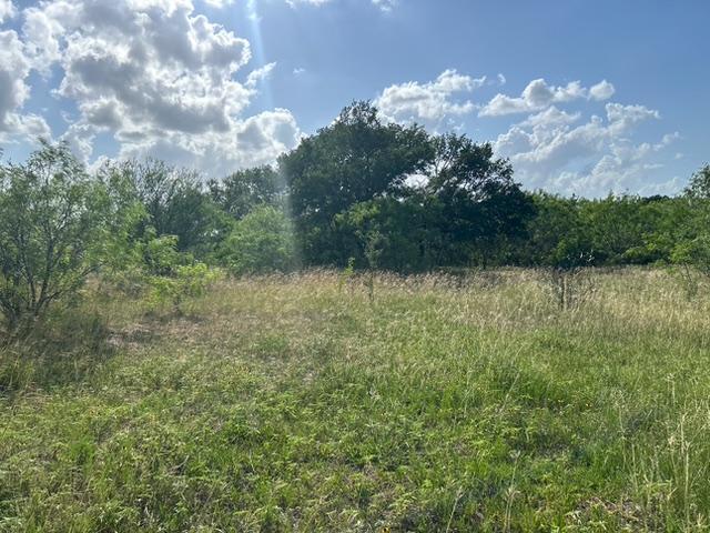 More Photos Of FM 2814, Waelder Land For Sale