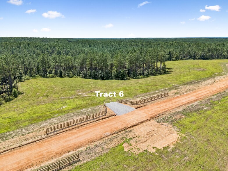 More Photos Of 1420 Big Swan Creek Rd, Summertown Land For Sale