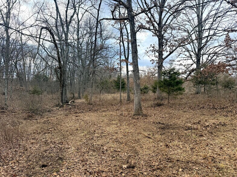 More Photos Of Pike 49 (12+/- Acres), Frankford Land For Sale