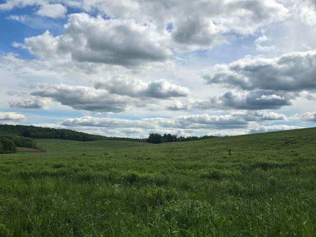 More Photos Of 347 Old Kersey Rd, Kersey Land For Sale