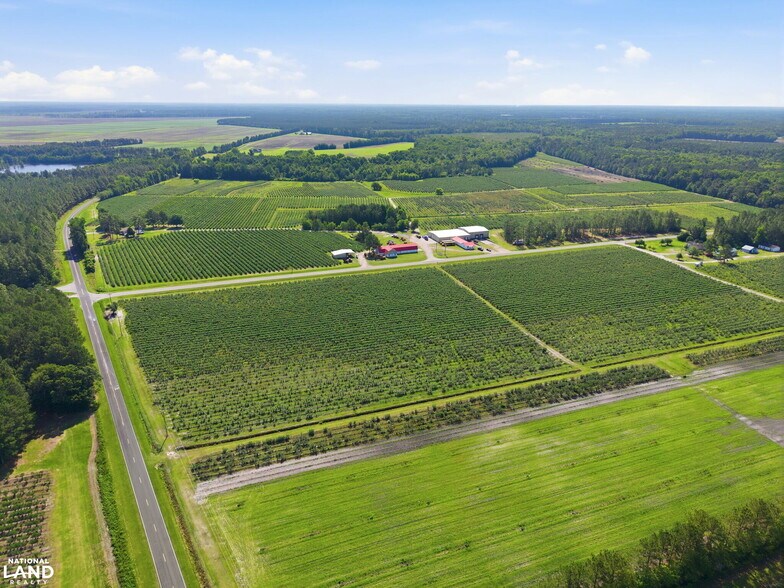 More Photos Of 5478 Halfway Branch School rd, Ivanhoe Land For Sale