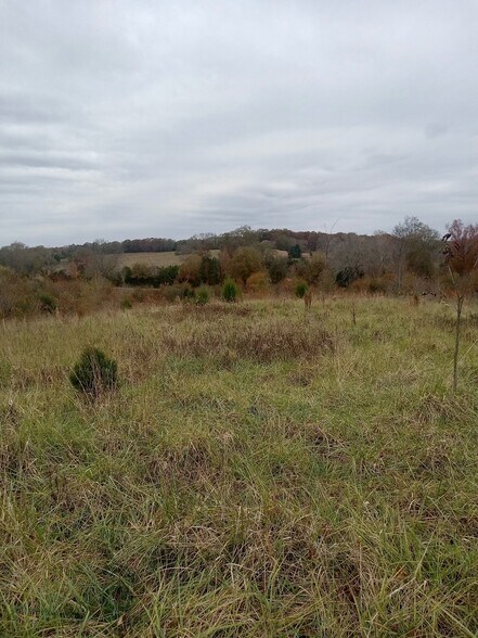 More Photos Of 1486 Martin Road, Ware Shoals Land For Sale