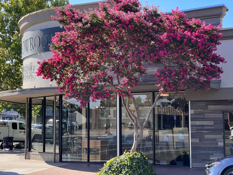 More Photos Of 2363 Pacific Ave, Stockton Storefront For Sale