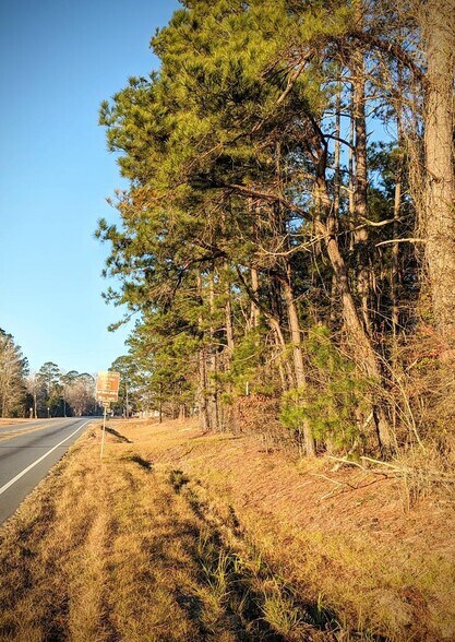 More Photos Of Highway 280 & Highway, Abbeville Land For Sale