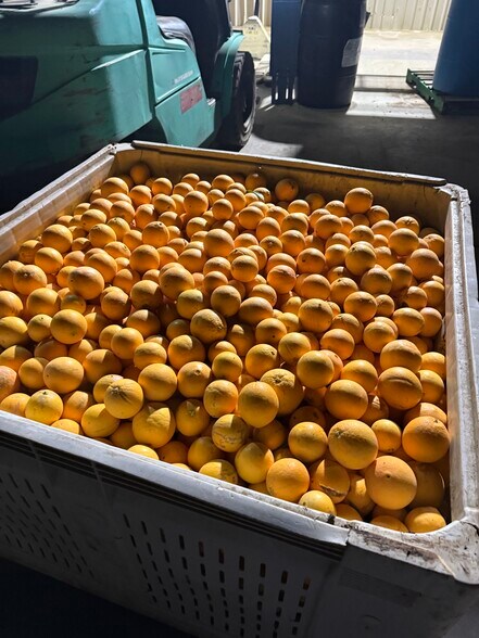 More Photos Of 8507 Rd 256, Terra Bella Food Processing For Sale