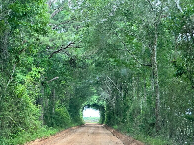 More Photos Of Millside Road, Laurel Hill Land For Sale
