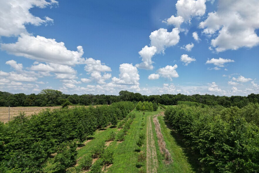 More Photos Of 22701 Timberview Rd, Harrisonville Land For Sale