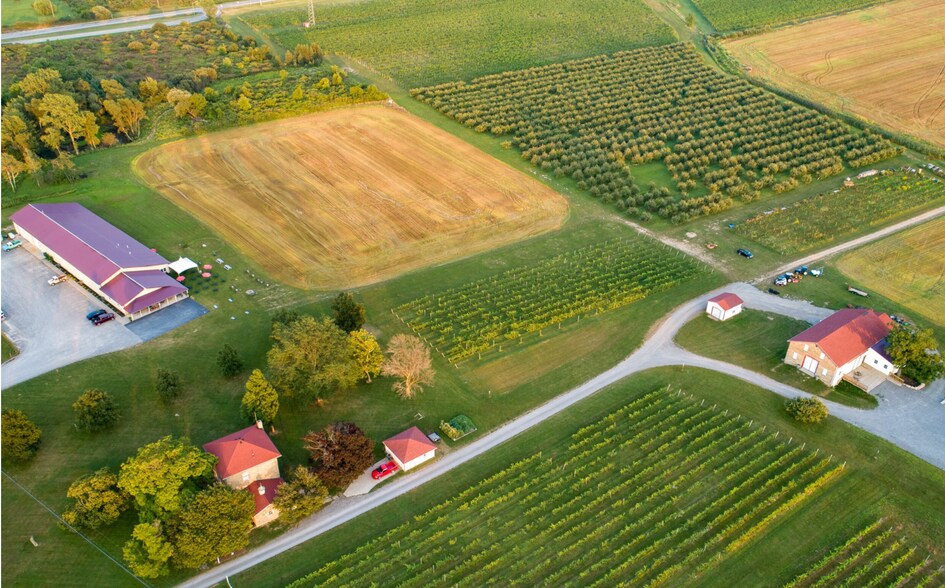 More Photos Of 5138 Lower Mountain Rd, Lockport Winery Vineyard For Sale