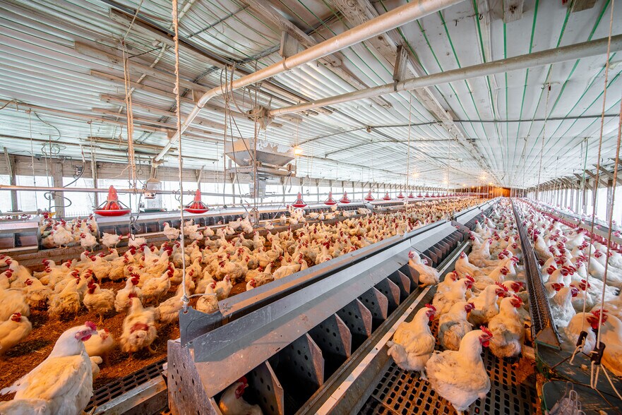 More Photos Of 1291 Myron Hart Rd, Coolidge Land For Sale