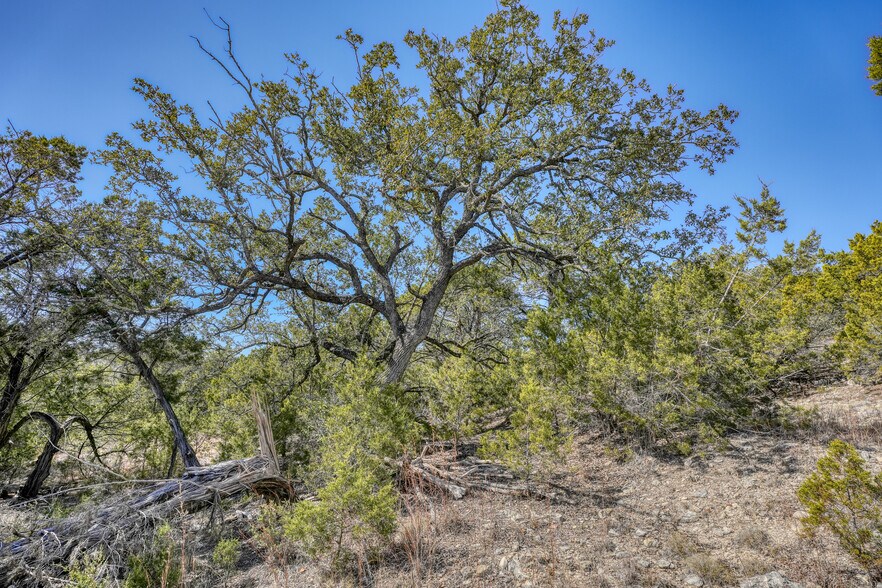 More Photos Of 18940 FM 1431, Jonestown Land For Sale