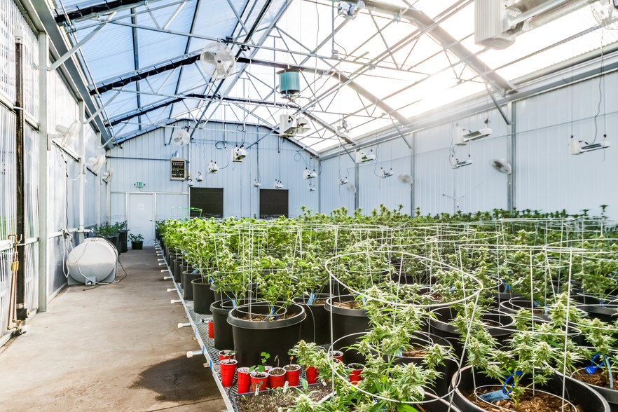 More Photos Of 40444 Bush Rd, Avondale Specialty For Sale