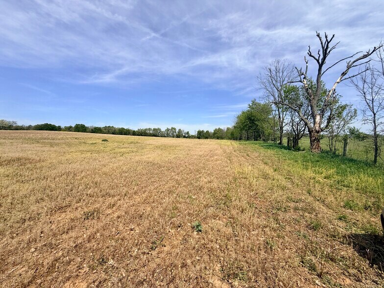 More Photos Of 4132 KY Highway 36 W, Cynthiana Land For Sale