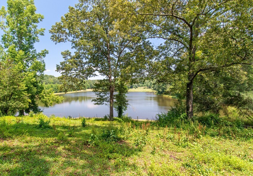 More Photos Of 1128 Needmore Rd, Roopville Land For Sale