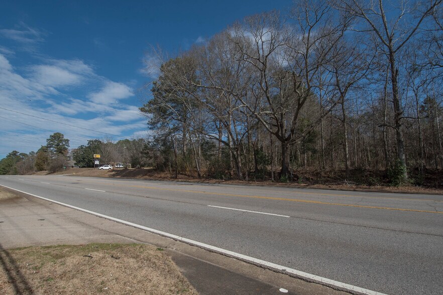 More Photos Of 828 New Franklin, Lagrange Land For Sale