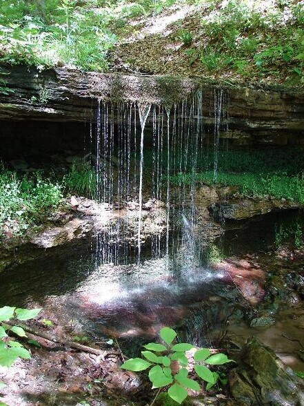More Photos Of Songbird Ln, Green Sulphur Springs Land For Sale