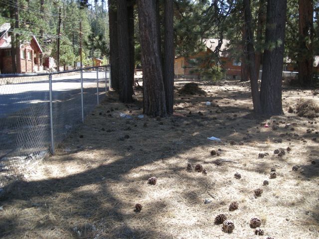 More Photos Of 776 Knickerbocker Rd, Big Bear Lake Land For Sale