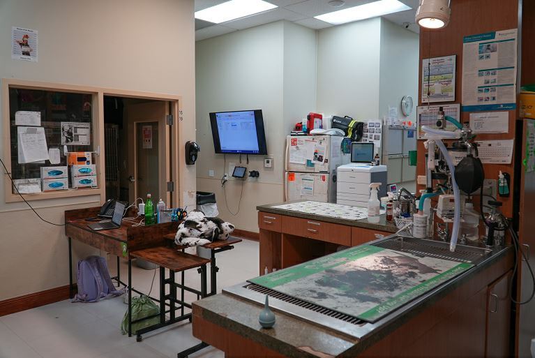 More Photos Of 9400 NW 58th St, Miami Veterinarian Kennel For Lease