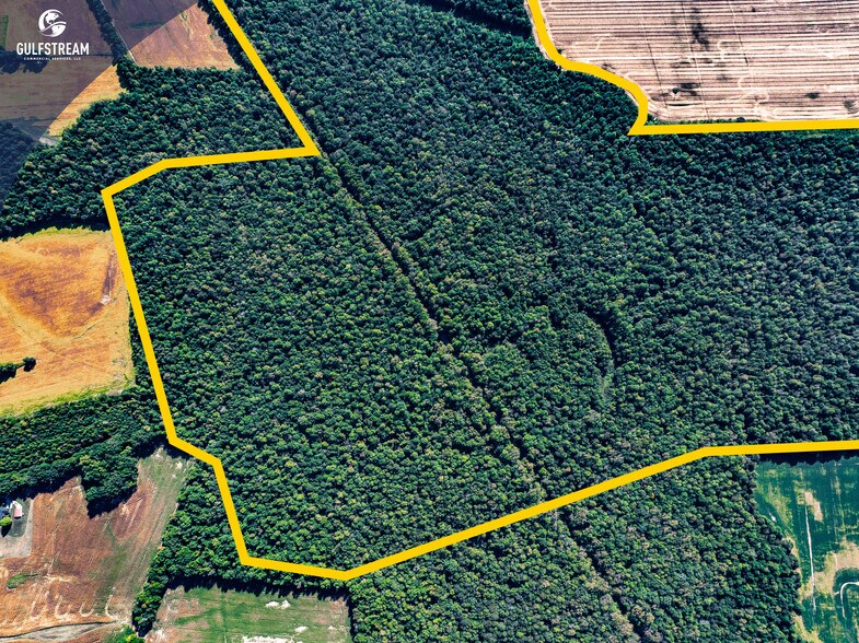 More Photos Of 5675 Millers Mill rd, Philpot Land For Sale