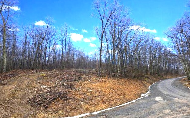 Primary Photo Of 3101 W Teter Creek Rd, Belington Land For Sale
