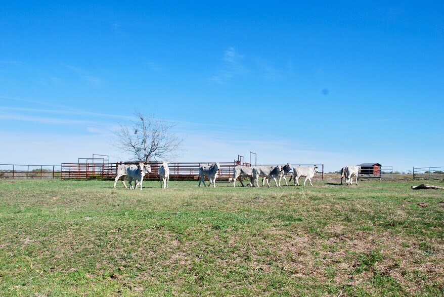 More Photos Of TBD State Highway 95, Moulton Land For Sale