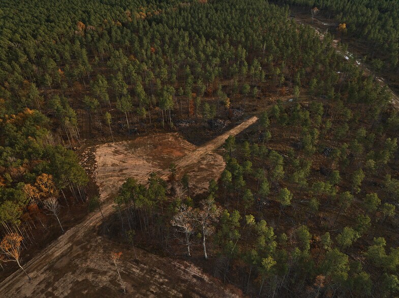 More Photos Of 480 Martin Rd, Cotton Valley Land For Sale