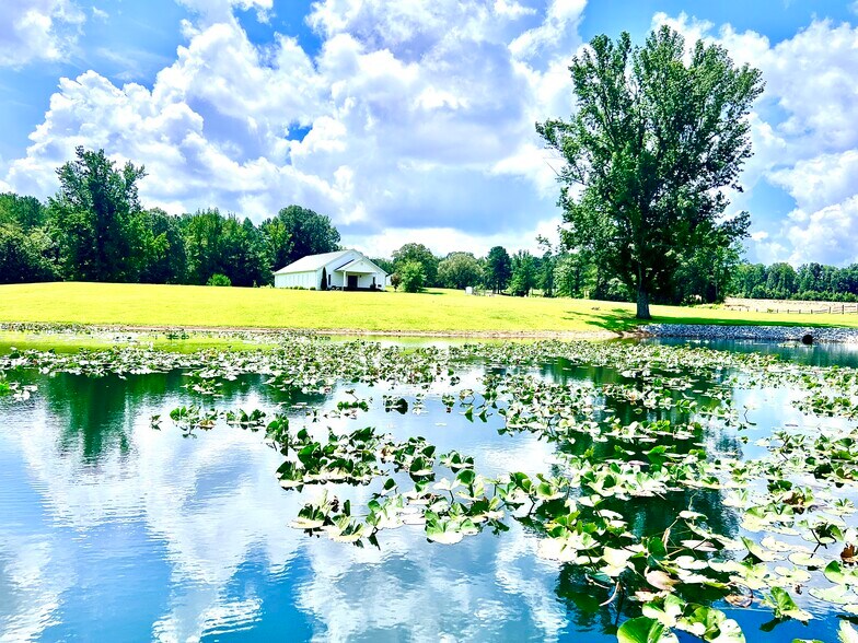 More Photos Of 3375 Rowland Mill Rd, Buena Vista Religious Facility For Lease