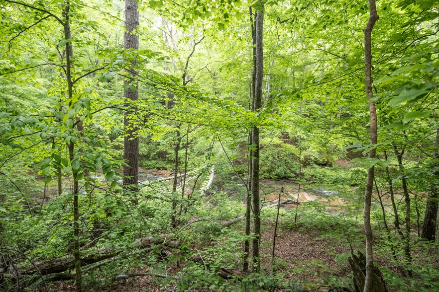 More Photos Of HWY 515 & Hidden Creek rd, Jasper Land For Sale