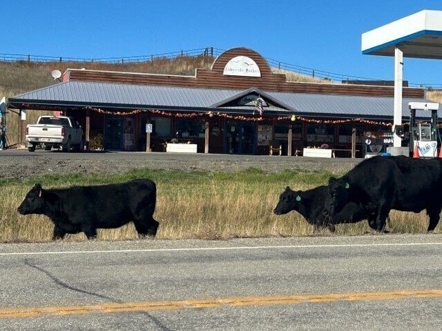 More Photos Of 5330 York Rd, Helena Convenience Store For Sale