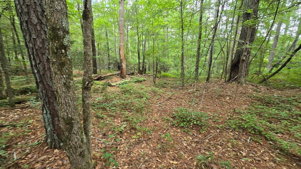 More Photos Of 5171 Ga Highway 138, Loganville Land For Sale