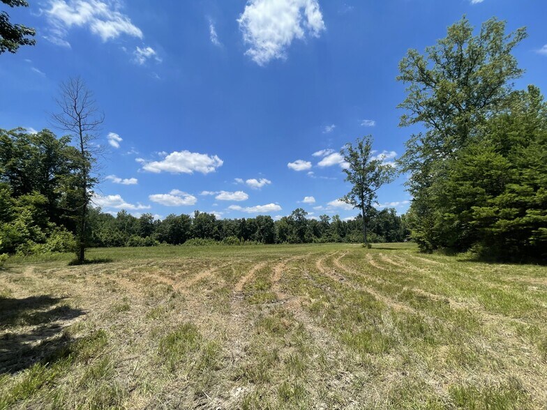 More Photos Of Raspberry Street & 69 hwy, Gallion Land For Sale