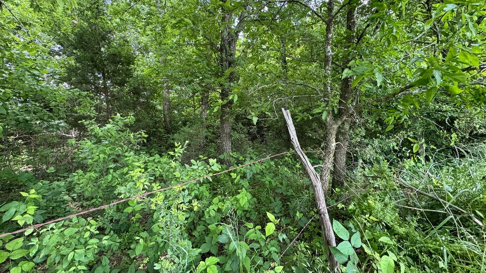More Photos Of 9024 FM 64, Pecan Gap Land For Sale