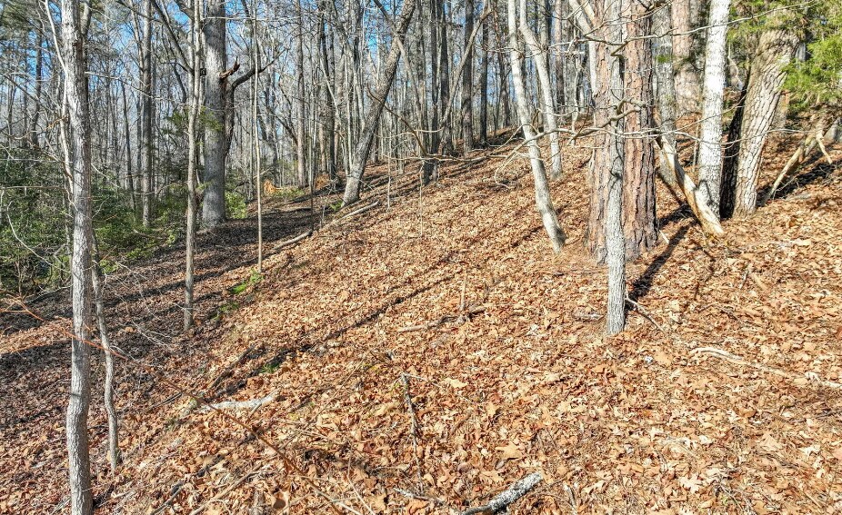 More Photos Of 9384 Skitts Mountain Dr, Lula Land For Sale