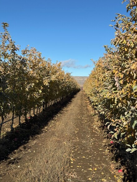 More Photos Of Intersection of Road O SW and Road 26 SW, Mattawa Land For Sale