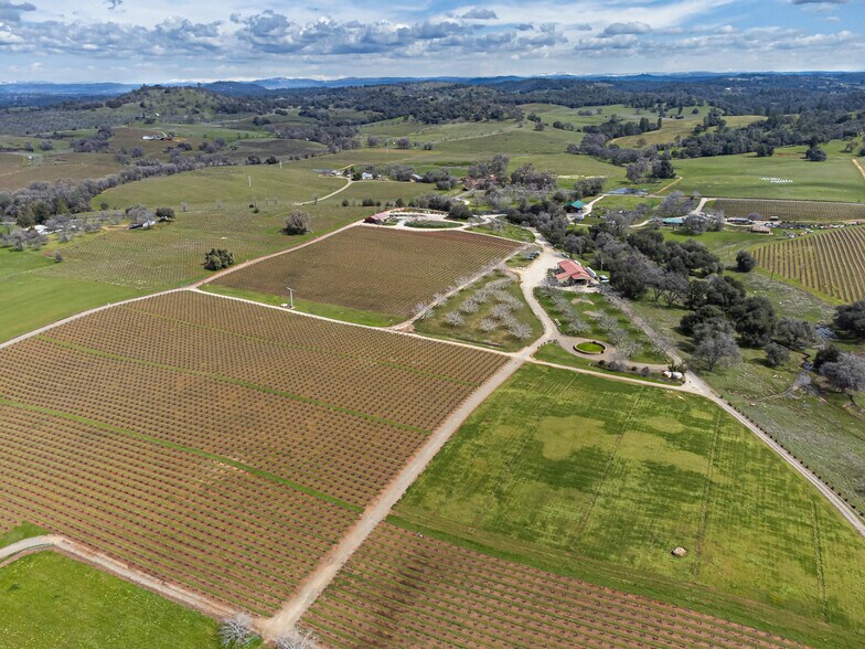 Primary Photo Of 21365 Shenandoah School Rd, Plymouth Winery Vineyard For Sale