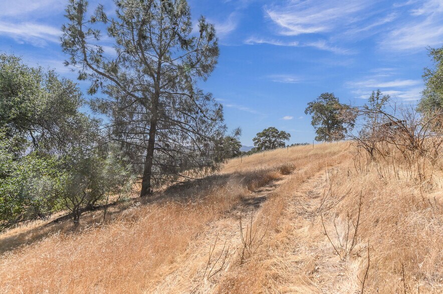 More Photos Of 5761 Highway 4, Angels Camp Land For Sale